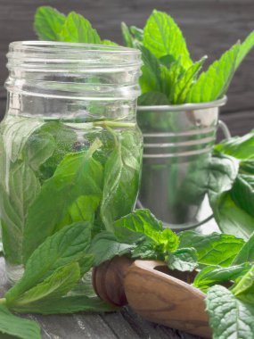 Taze nane yaprakları