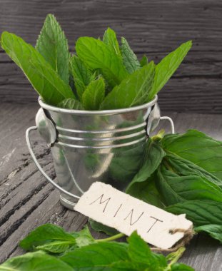 Taze nane yaprakları