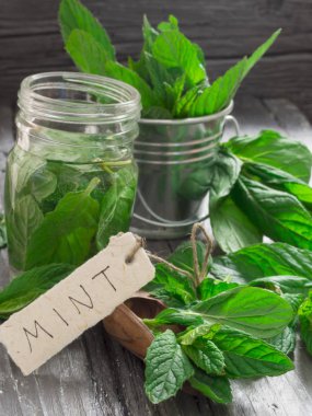 Taze nane yaprakları