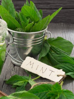 Taze nane yaprakları
