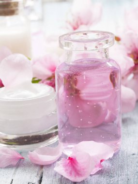 taze doğal kozmetik