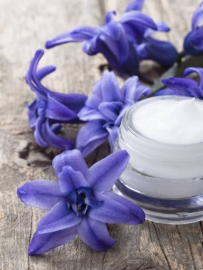 taze doğal kozmetik