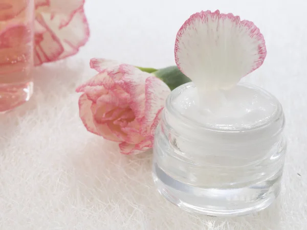 Verse natuurlijke cosmetica — Stockfoto