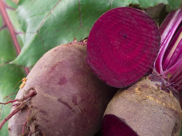 Fresh beet root — Stock Photo, Image