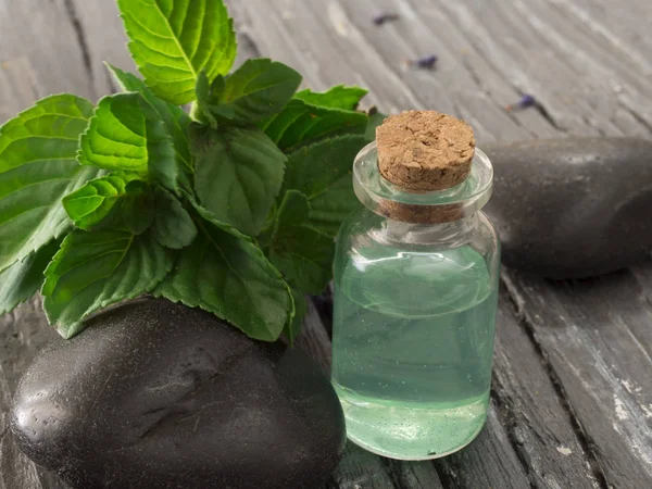 Hojas de menta fresca con aceite de menta —  Fotos de Stock