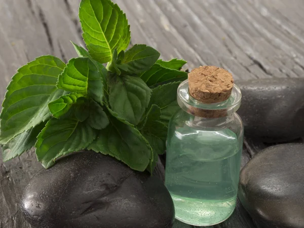 Fresh mint leaves with mint oil — Stock Photo, Image