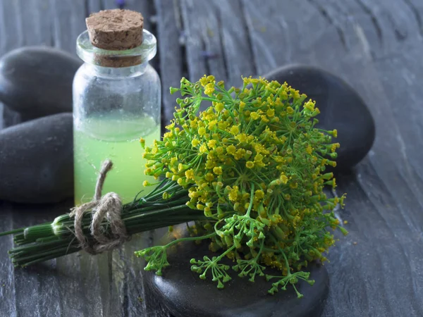 Fresh dill herb on the table — Stock Photo, Image