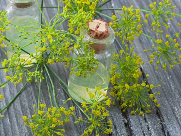 Fresh dill herb on the table — Stock Photo, Image