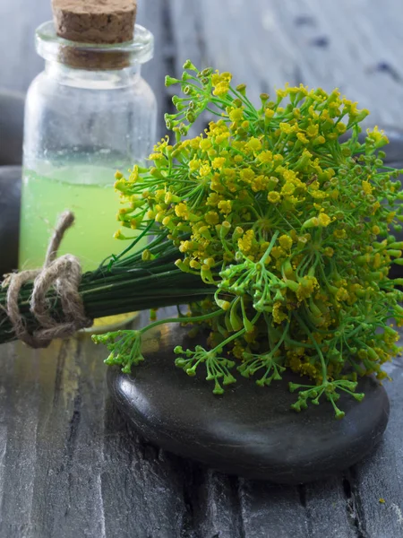 Свіжа кропова трава на столі — стокове фото