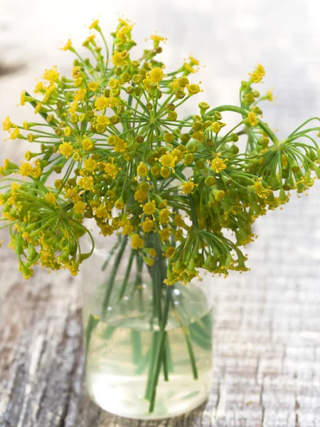Fresh dill herb on the table — Stock Photo, Image