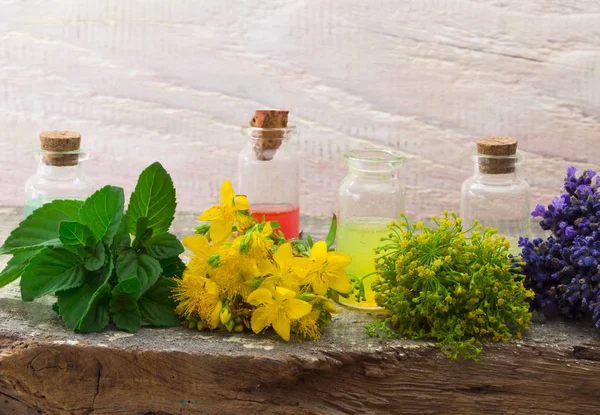 Fresh herbs on the table — Stock Photo, Image