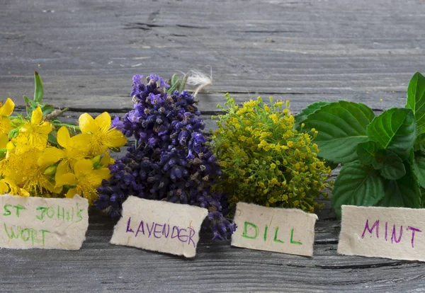 Fresh herbs on the table — Stock Photo, Image