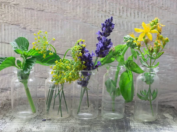 Čerstvé bylinky na stůl — Stock fotografie