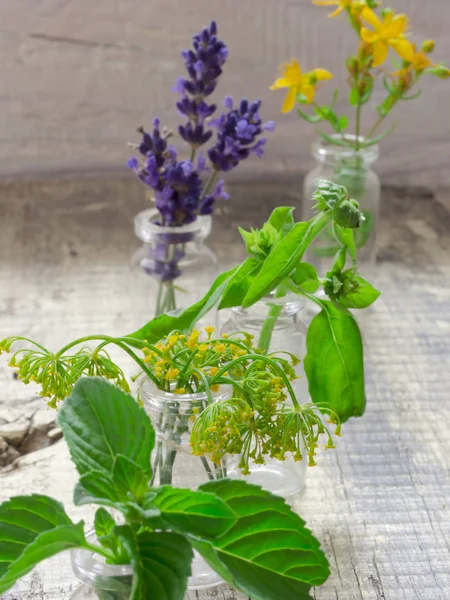 Świeże zioła na stole — Zdjęcie stockowe