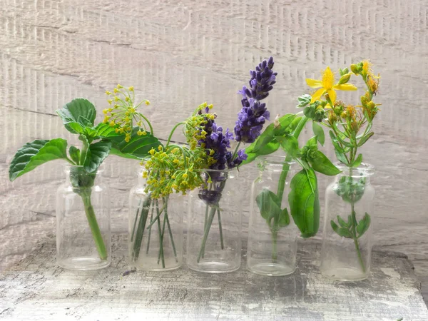 Fresh herbs on the table — Stock Photo, Image