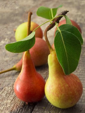 Masada taze armutlar