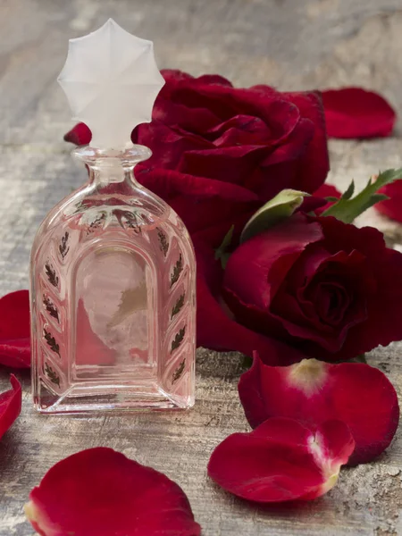 Perfume de rosa — Foto de Stock