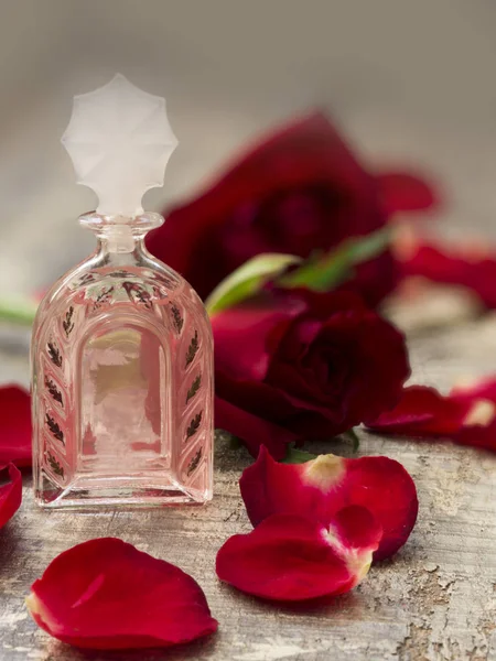 バラの香水 — ストック写真