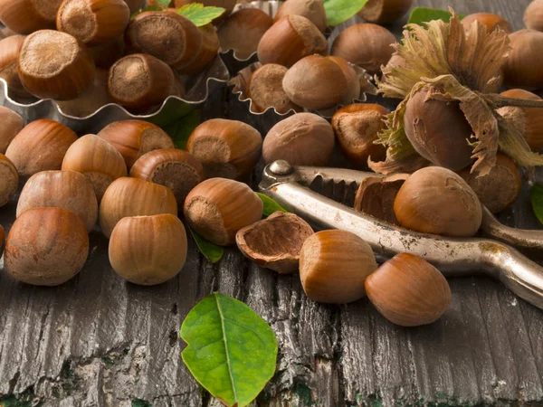 Vers en gezond hazelnoten — Stockfoto