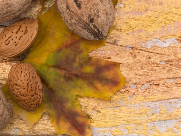 Autumn leaves arrangement — Stock Photo, Image