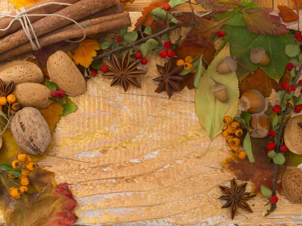 Disposición hojas otoño —  Fotos de Stock