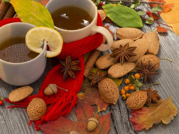 Warm tea for autumn days — Stock Photo, Image