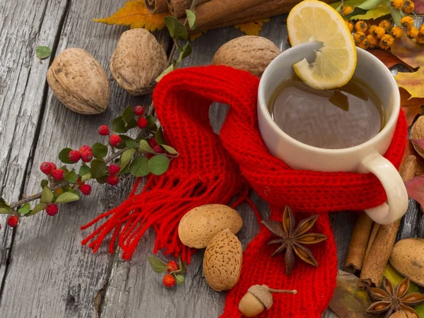 Warm tea for autumn days — Stock Photo, Image