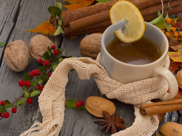 Warm tea for autumn days — Stock Photo, Image