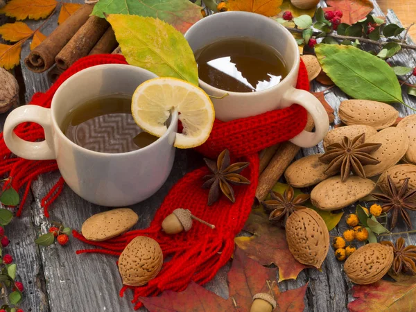 Warm tea for autumn days — Stock Photo, Image