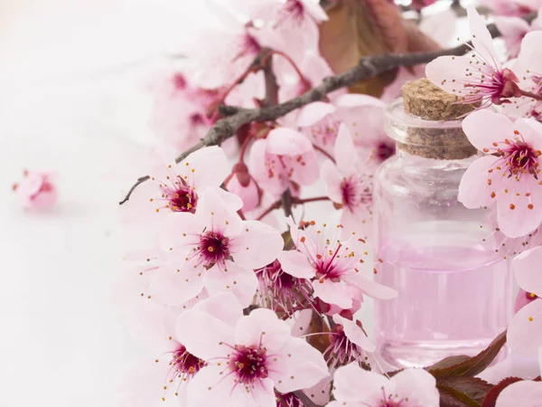 Cosmetic Product Spring Flowers Fresh Spring Concept — Stock Photo, Image