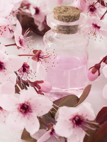 Producto Cosmético Con Flores Primavera Fresco Como Concepto Primavera — Foto de Stock