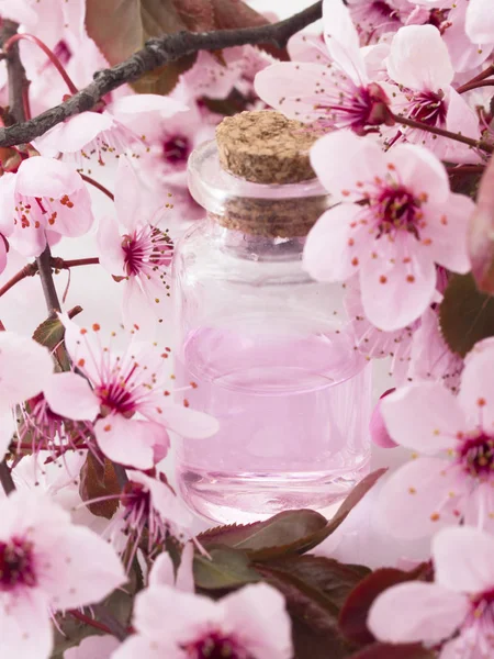 Cosmetic Product Spring Flowers Fresh Spring Concept — Stock Photo, Image