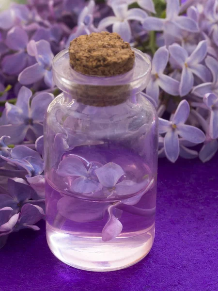 Cosmetici Natura Con Fiori Lilla — Foto Stock