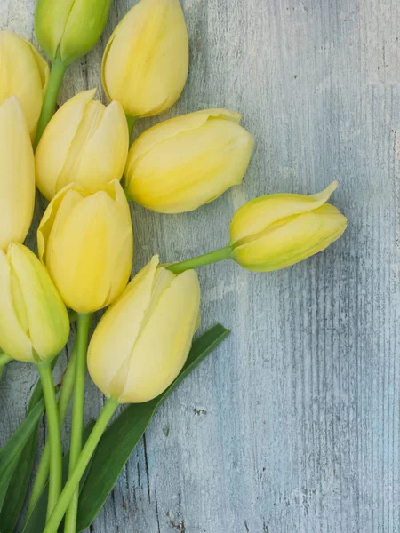 Mooie Gele Tulpen Een Rangschikking — Stockfoto