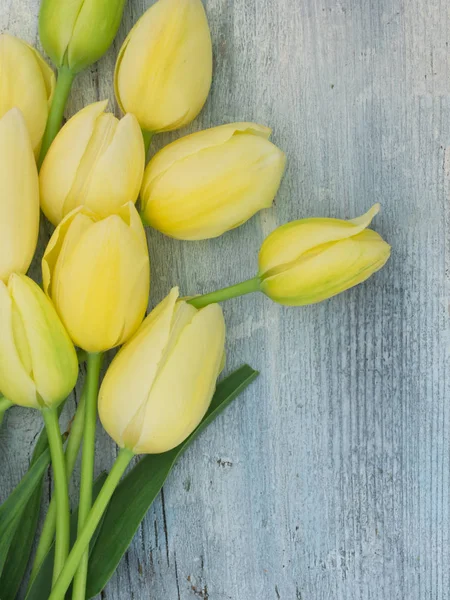 Belles Tulipes Jaunes Dans Arrangement — Photo