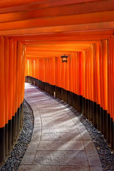 Červené brány v Japonsku — Stock fotografie