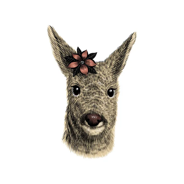 Roe herten welp schets, vector illustratie. Met de hand getekend wild dier hoofd portret met bloem — Stockvector