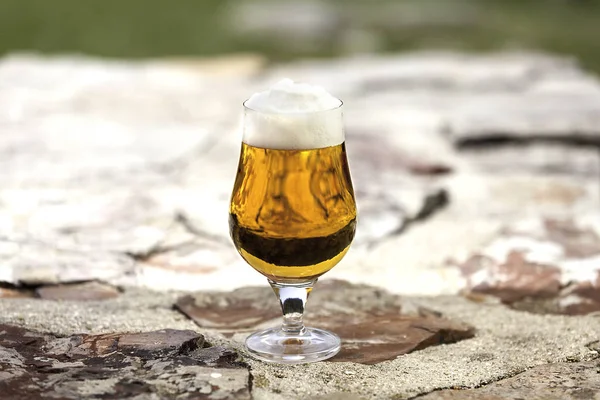 Bicchiere di birra ale con schiuma in natura — Foto Stock