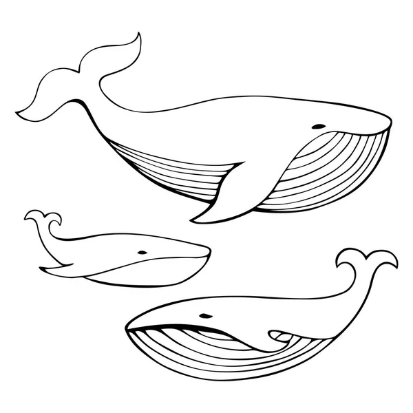 Çizgi film elle çizilmiş balinalar küme. Tek renkli vektör çizim. — Stok Vektör