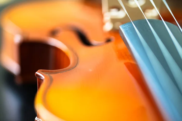 Primer plano del violín — Foto de Stock