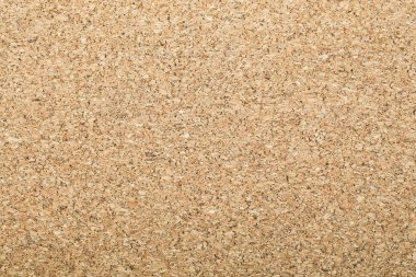 mantar tahta dokusu arkaplanı