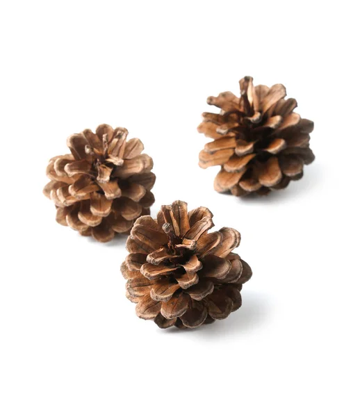 Three Pine Cones Isolated White — Stock Photo, Image