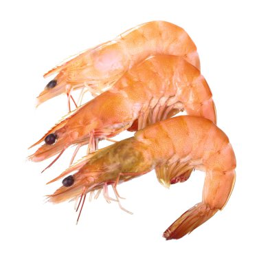 Pişmiş karides yakın çekim Shot