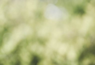 Bokeh doğa arka plan