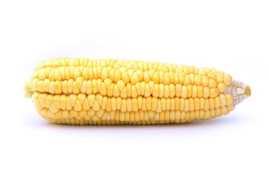 Mısır üzerinde izole beyaz arka plan soyulmuş