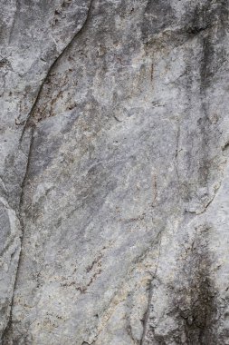 bir kayalık yüzey parçası