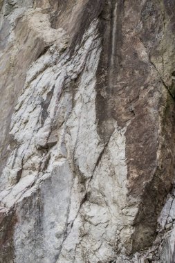 bir kayalık yüzey parçası