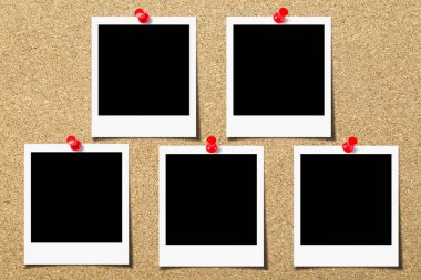 mantar tahta dokusu arkaplanı