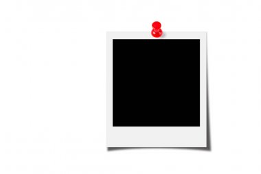 mantar tahta dokusu arkaplanı