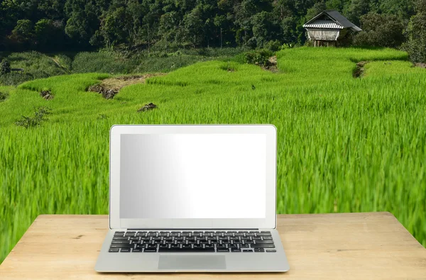 laptop on wood table with Terraced rice field on Mountain backgr